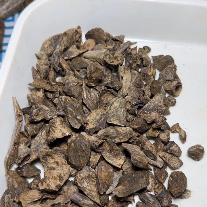 木质绿奇陆河树丁165克