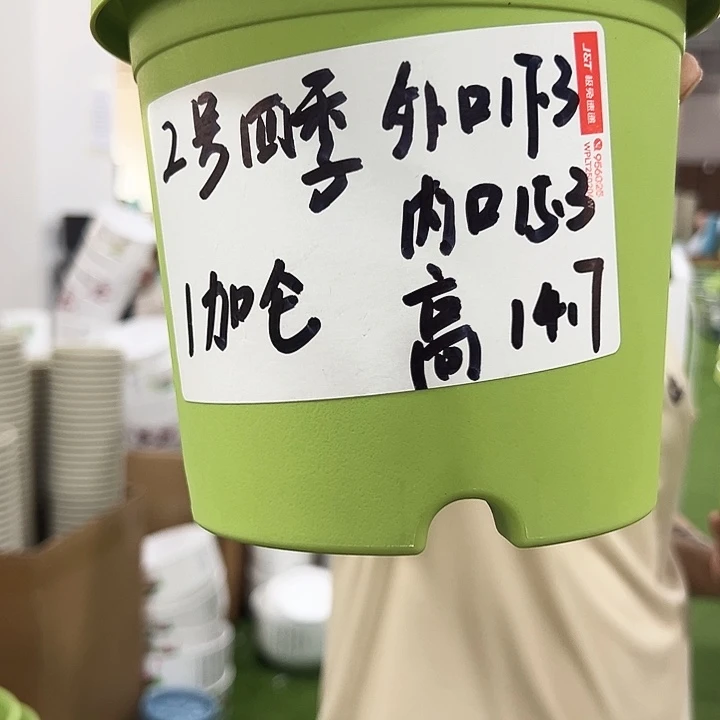 四季2号特价混色10个无托