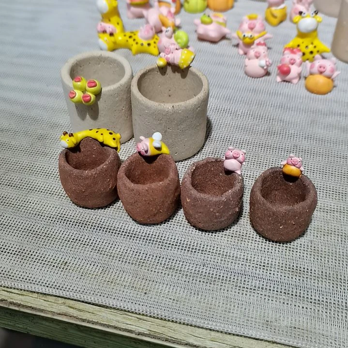 陶小*吖专拍花盆6个盆