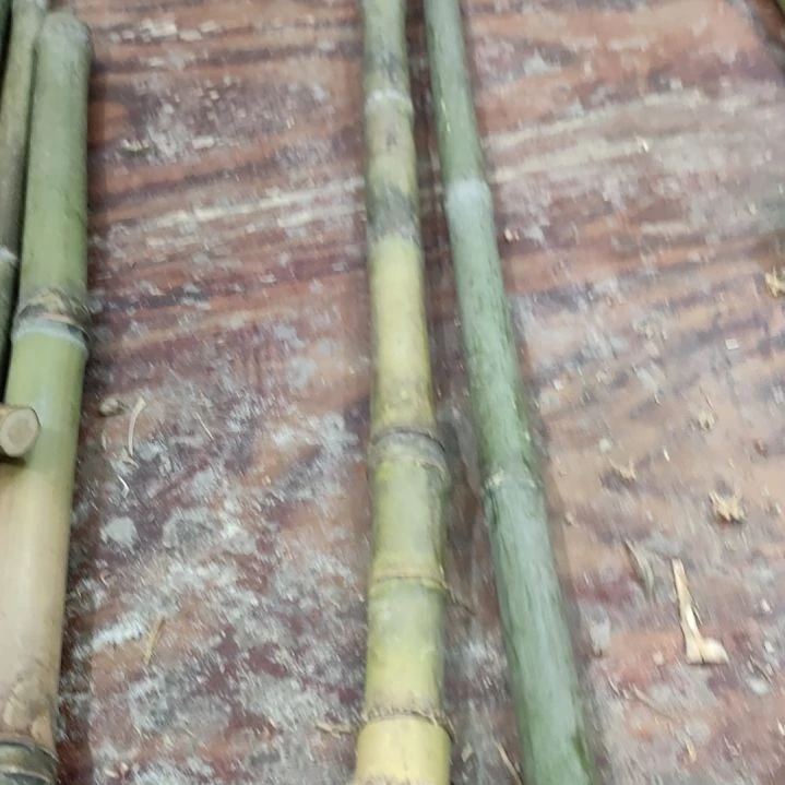 悍***士实心玉竹手把件金条料