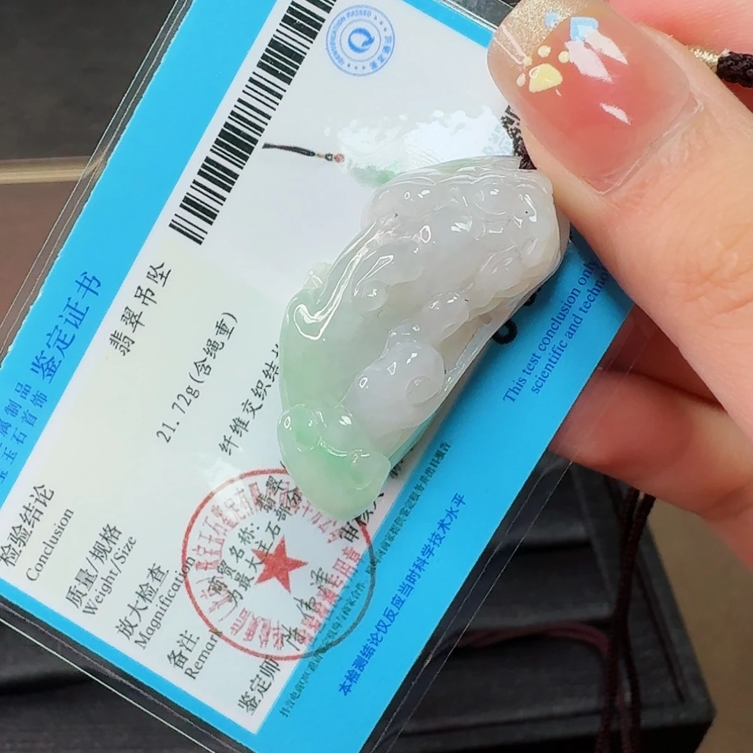 翡翠未镶嵌颈饰貔貅
