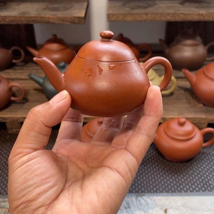 申***生茶壶紫砂这种天气出门