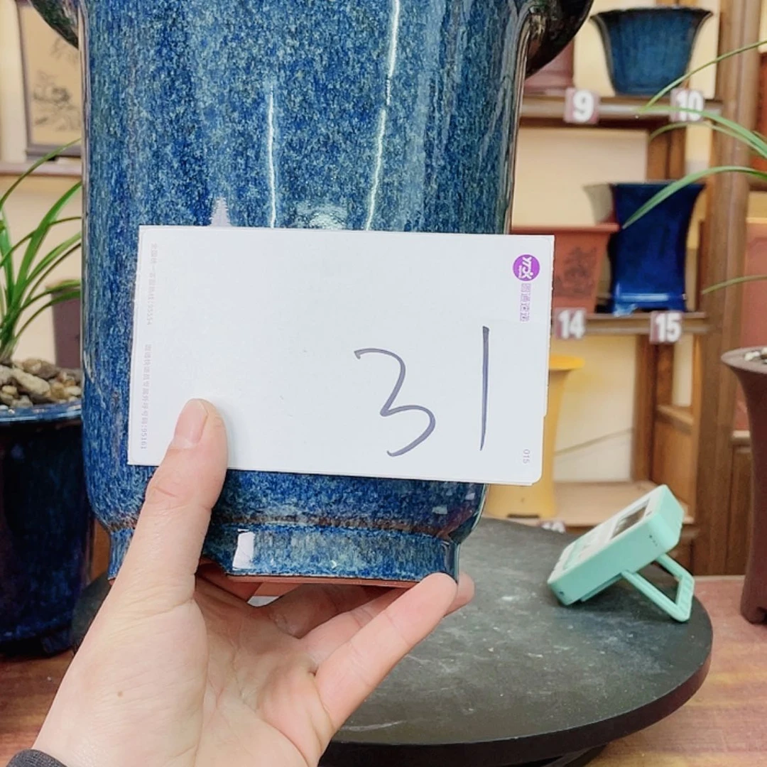 【闪购商品】紫砂花盆米*兰花856552588588555