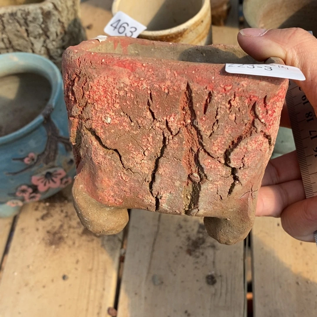 红陶菲****23号多肉盆一个呀