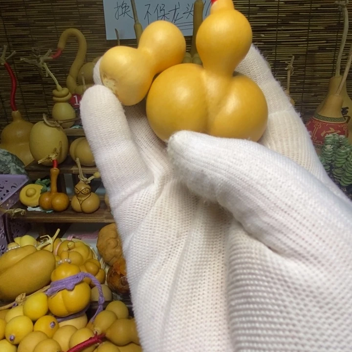 左***生葫芦8888888888588888