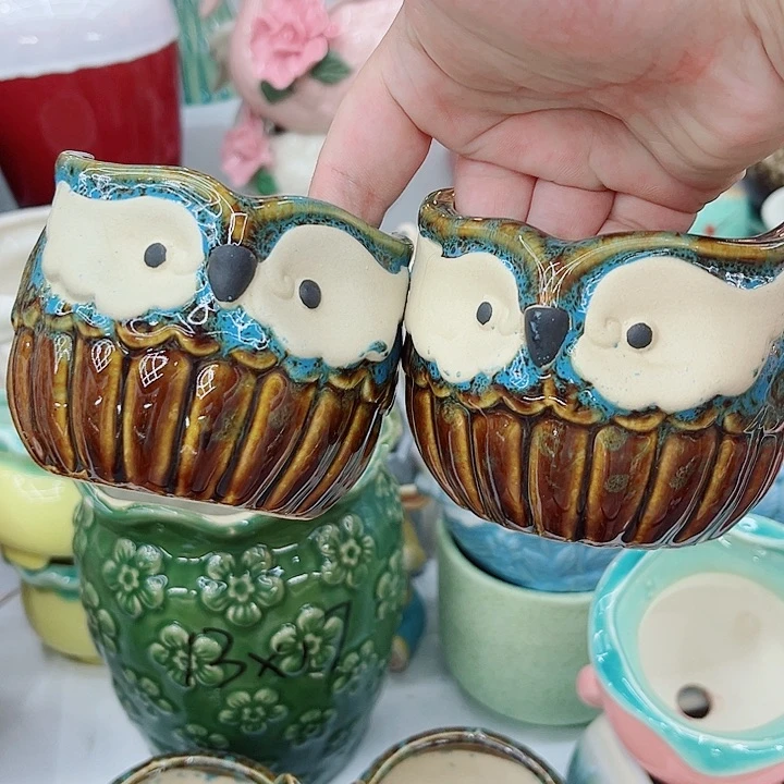 多肉植物陶瓷花盆