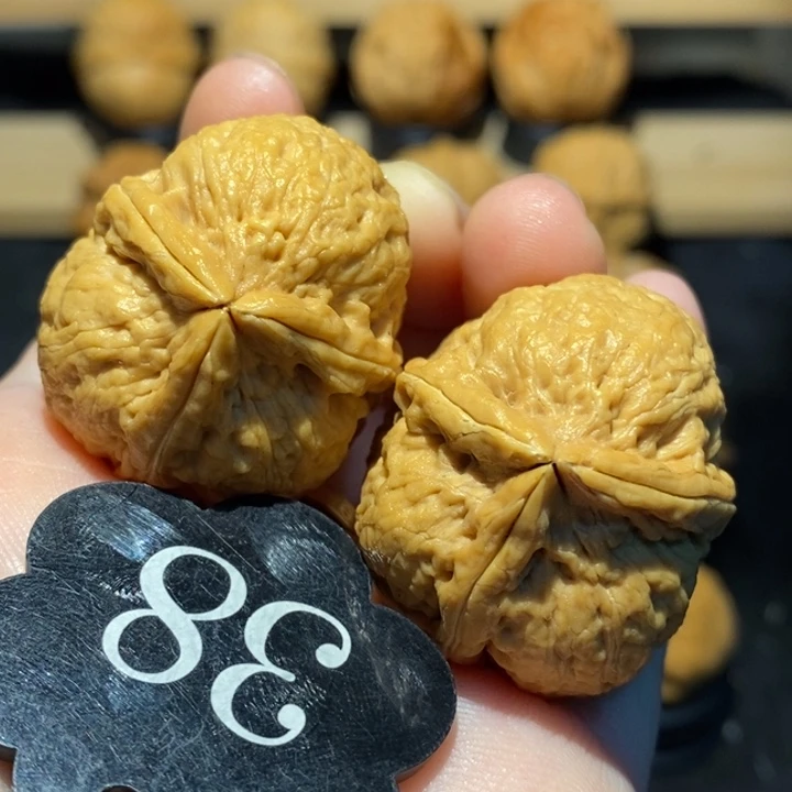 核桃三棱35尺寸核桃