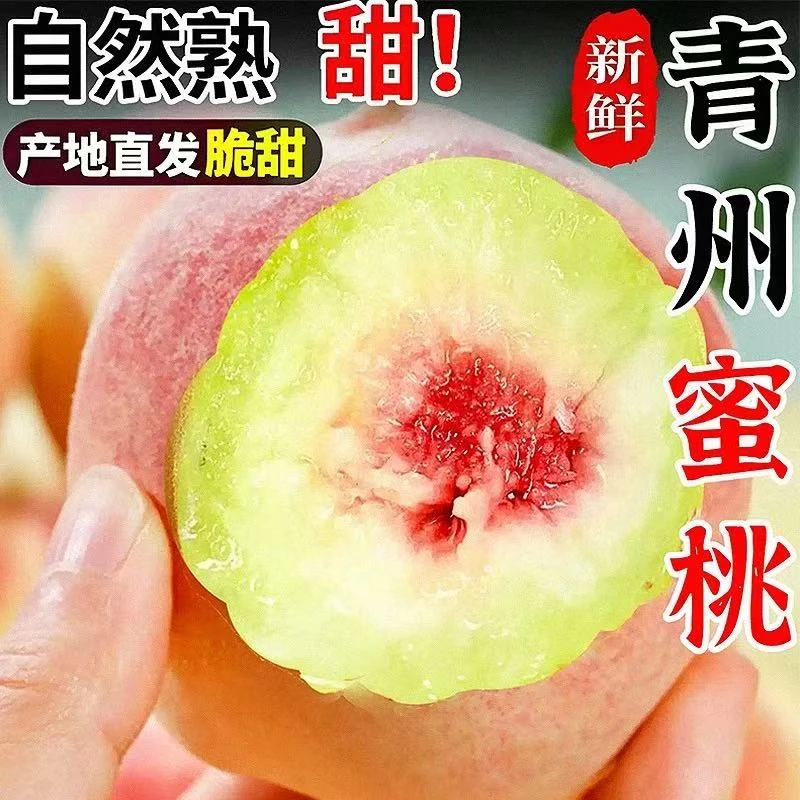 正宗山东青州蜜桃新鲜现摘脆甜离核应季水果脆甜孕妇小孩产地直发