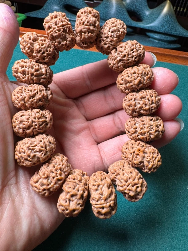 尼泊尔夹板头顶微黄不歪新手练手福利大金刚菩提