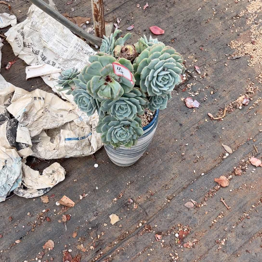 你在哪呢现在＂我在，你的电话