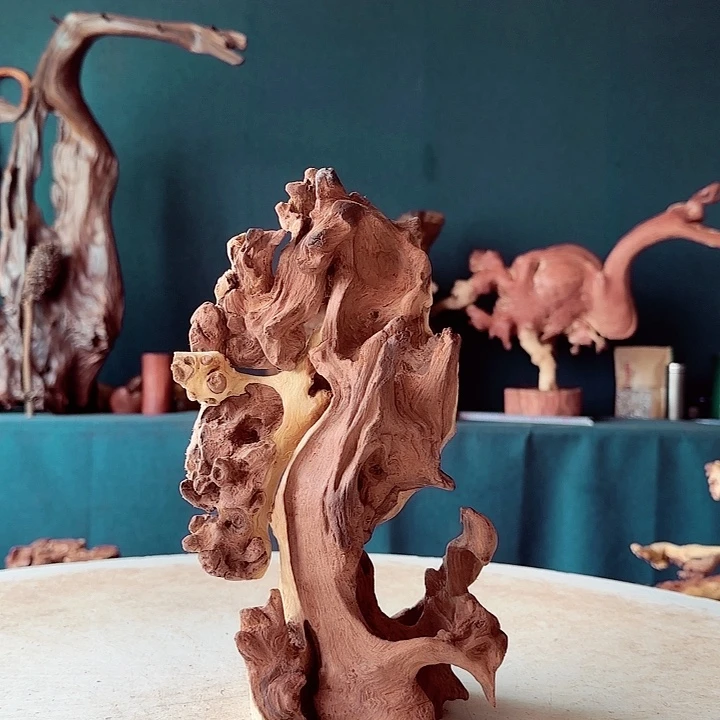 黑果木君****》863金丝红木羊蹄甲半成品