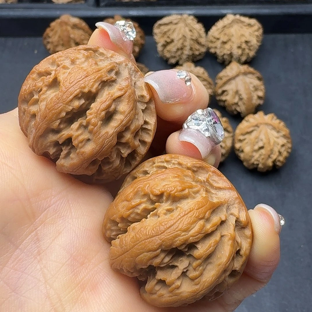 桃木突突突突突突突