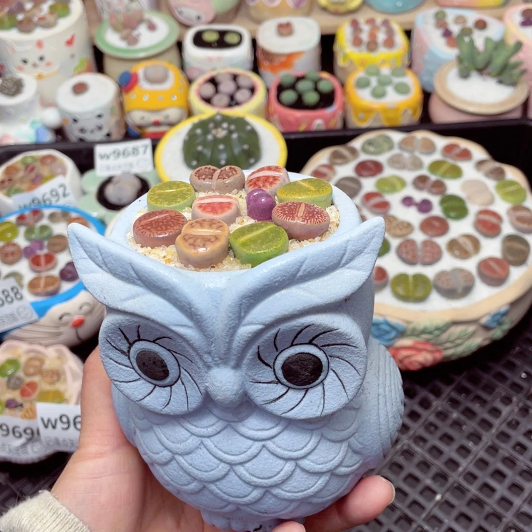 w9693 -零下地区拍保温箱-15支持寄养