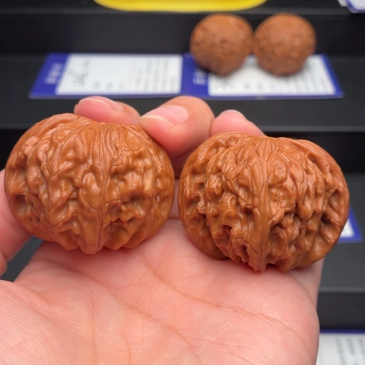 核桃6号42尺红皮老树山地正磨