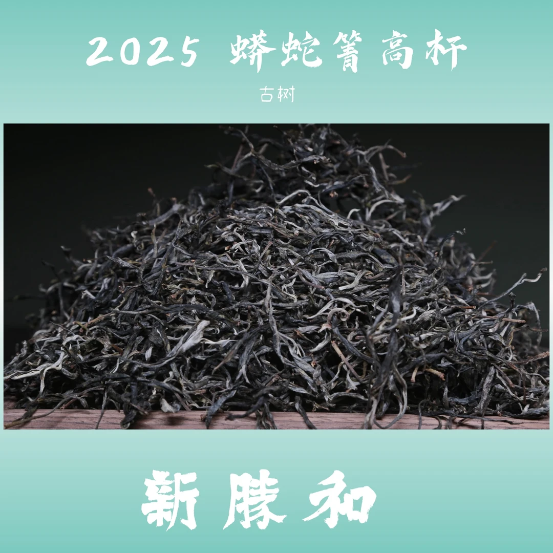 【 2025蟒蛇箐高杆古树纯料 】春茶 普洱茶 生茶 散茶 长期储存