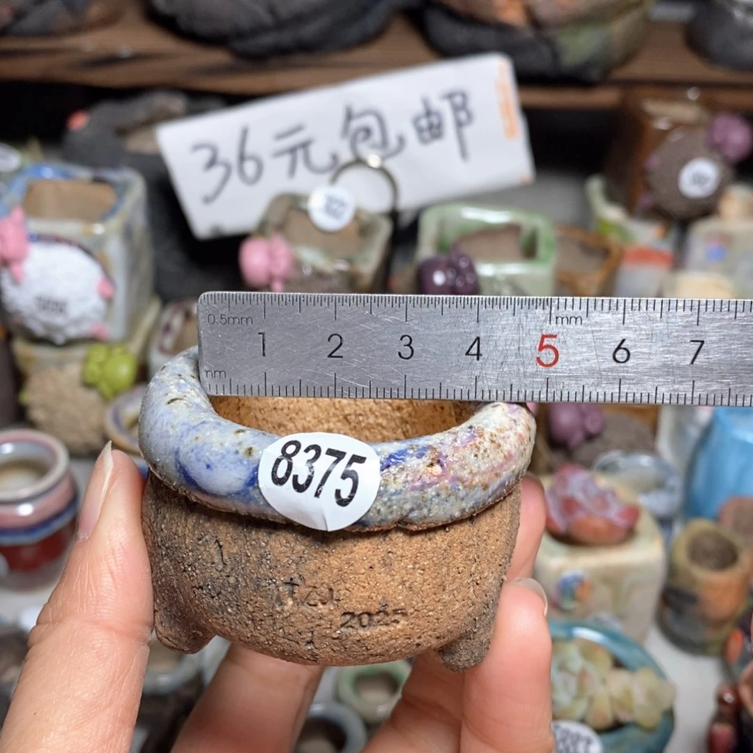 拍3送一个小礼物