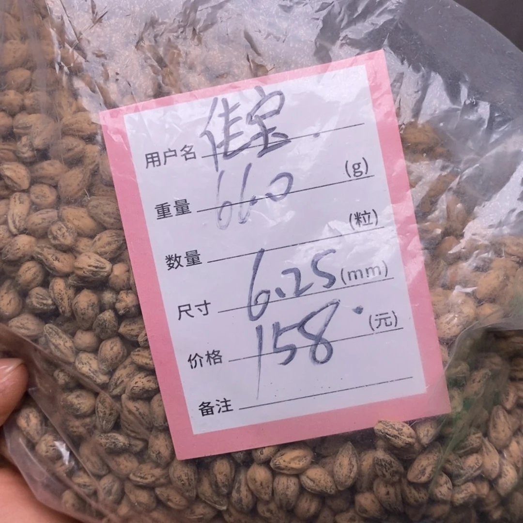 佳***）柏香籽/百香籽吊坠