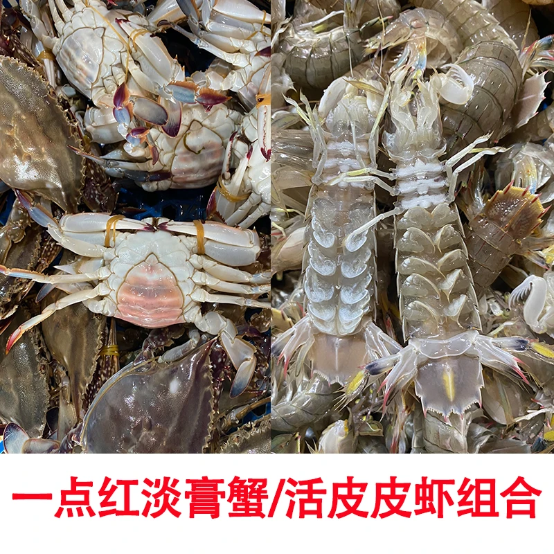 【保鲜不包活】一点红大淡膏蟹与鲜活大号公母皮皮虾混搭组合3斤起