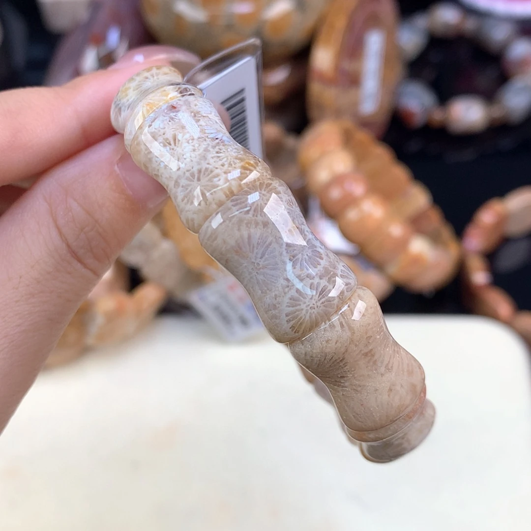 【闪购商品】颈饰未镶嵌硅化珊瑚（珊瑚玉）开播福利8号