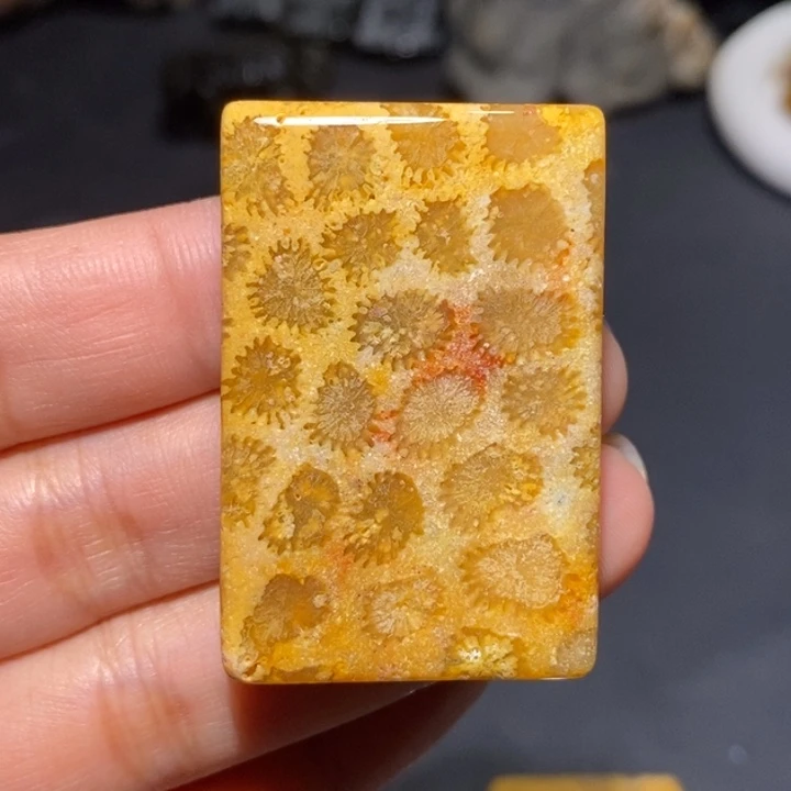 【闪购商品】未镶嵌珊瑚玉硅化玉