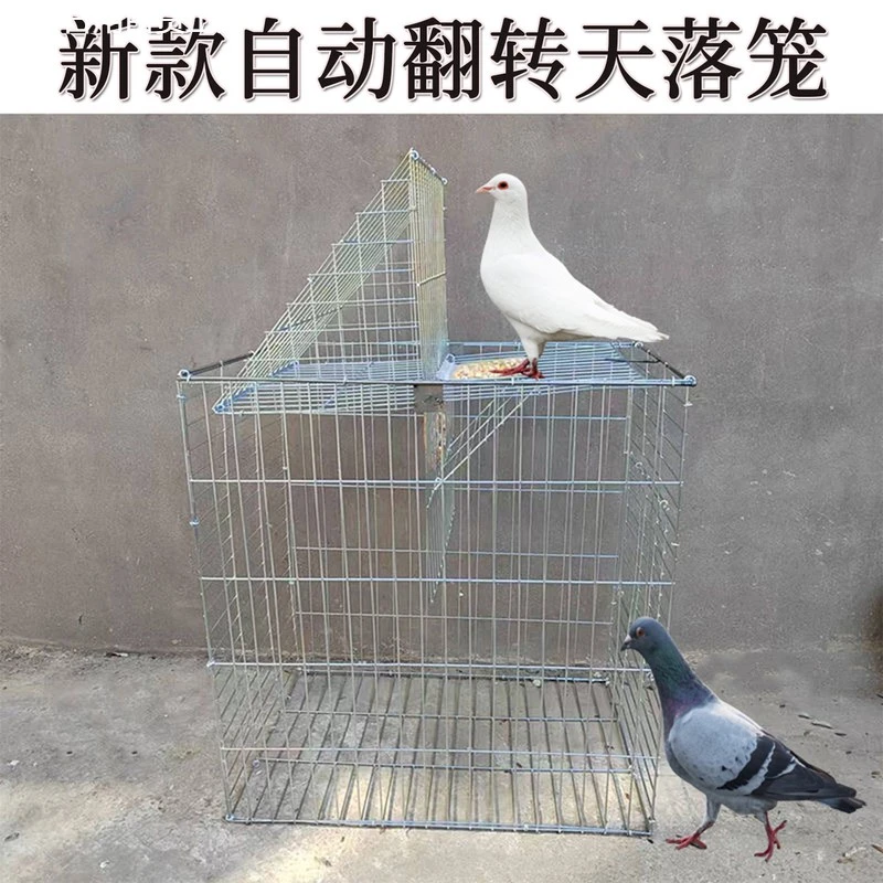 新款天落笼自动翻转旋转鸽子笼镀锌防锈加粗加密撞门鸽子鸟笼神器