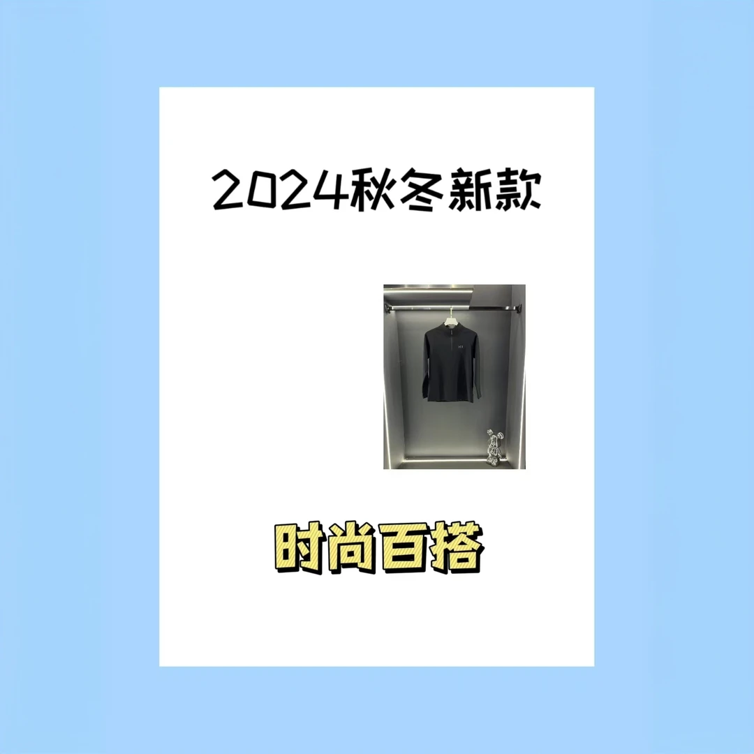 2025新款男士时尚百搭户外休闲不加绒卫衣--2451S
