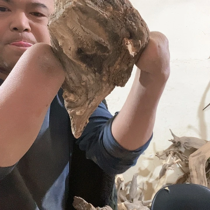 北山行崖柏毛料陈化料