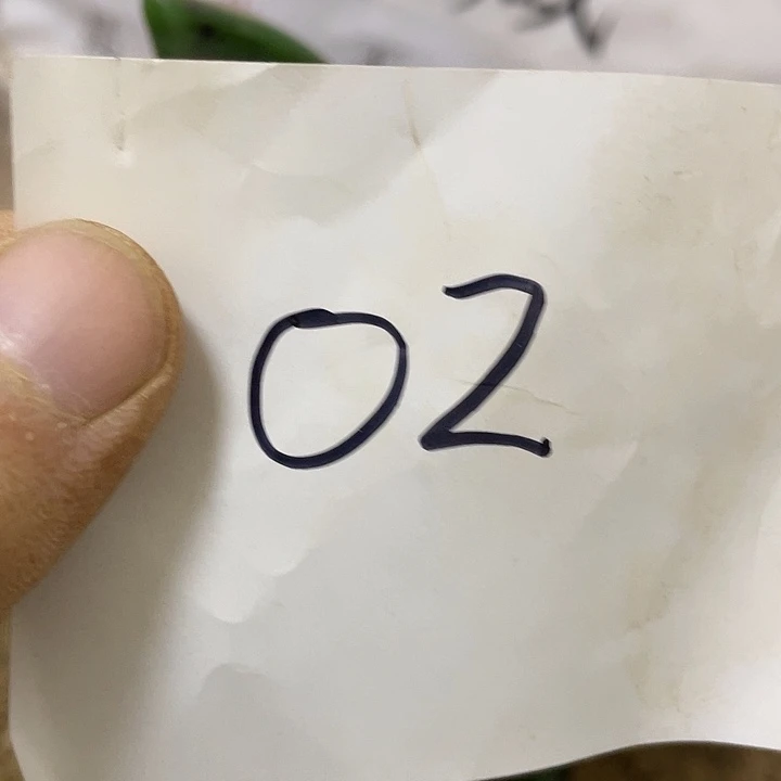 非金属啊啊啊啊啊啊啊