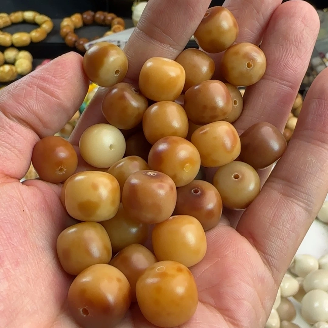 吊坠菩提根/象牙果卡13斑点狗桶30颗