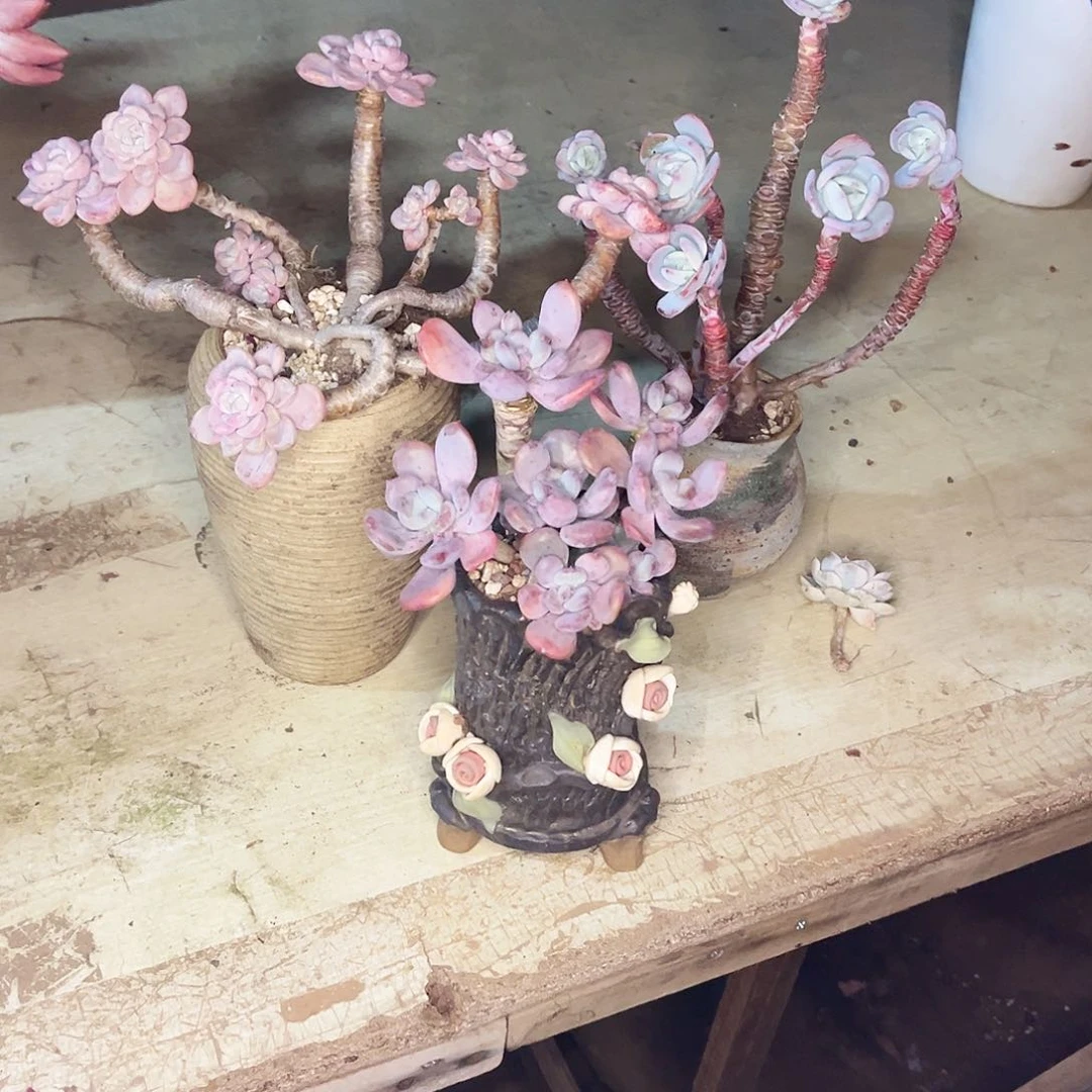 我是不是应该．．．．你是个好