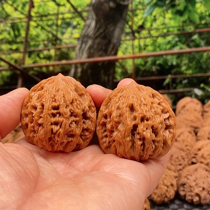 S***U银S925百年老树堂虎核桃