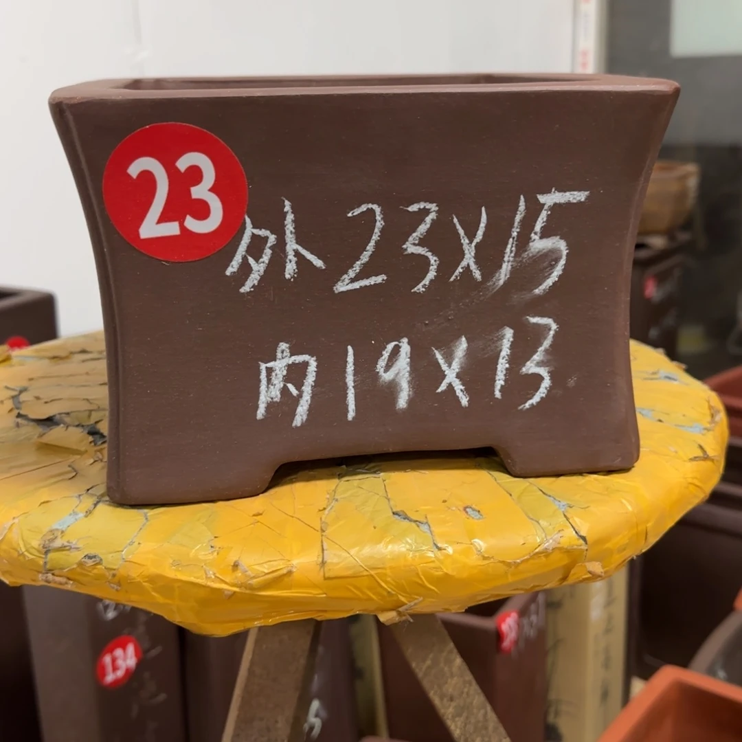 紫砂花盆我呜呜呜呜呜呜