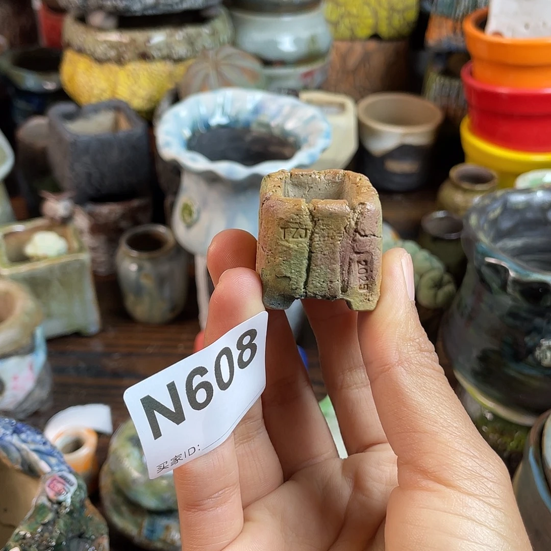 坛子姐花盆 双十二限时福利！默认微次！