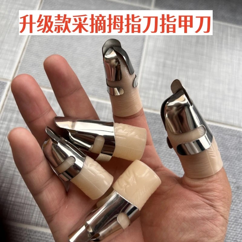 摘花椒神器摘菜专用掐尖拇指刀铁指刀指甲手套手指头掐菜择菜剥豆