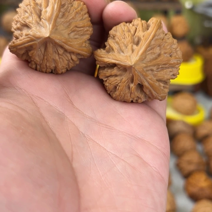 文玩核桃吊坠40尺全品无修玉龙粗筋