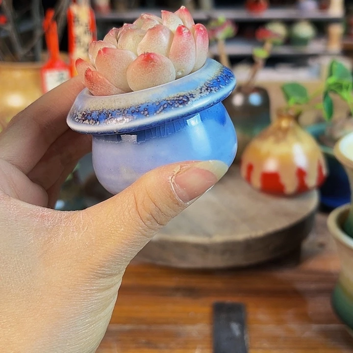 景德镇陶瓷2单包邮