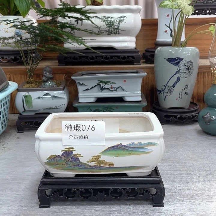 陶瓷花盆抢购福利活动
