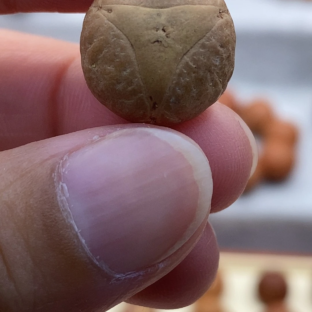 凤眼菩提吊坠麒麟