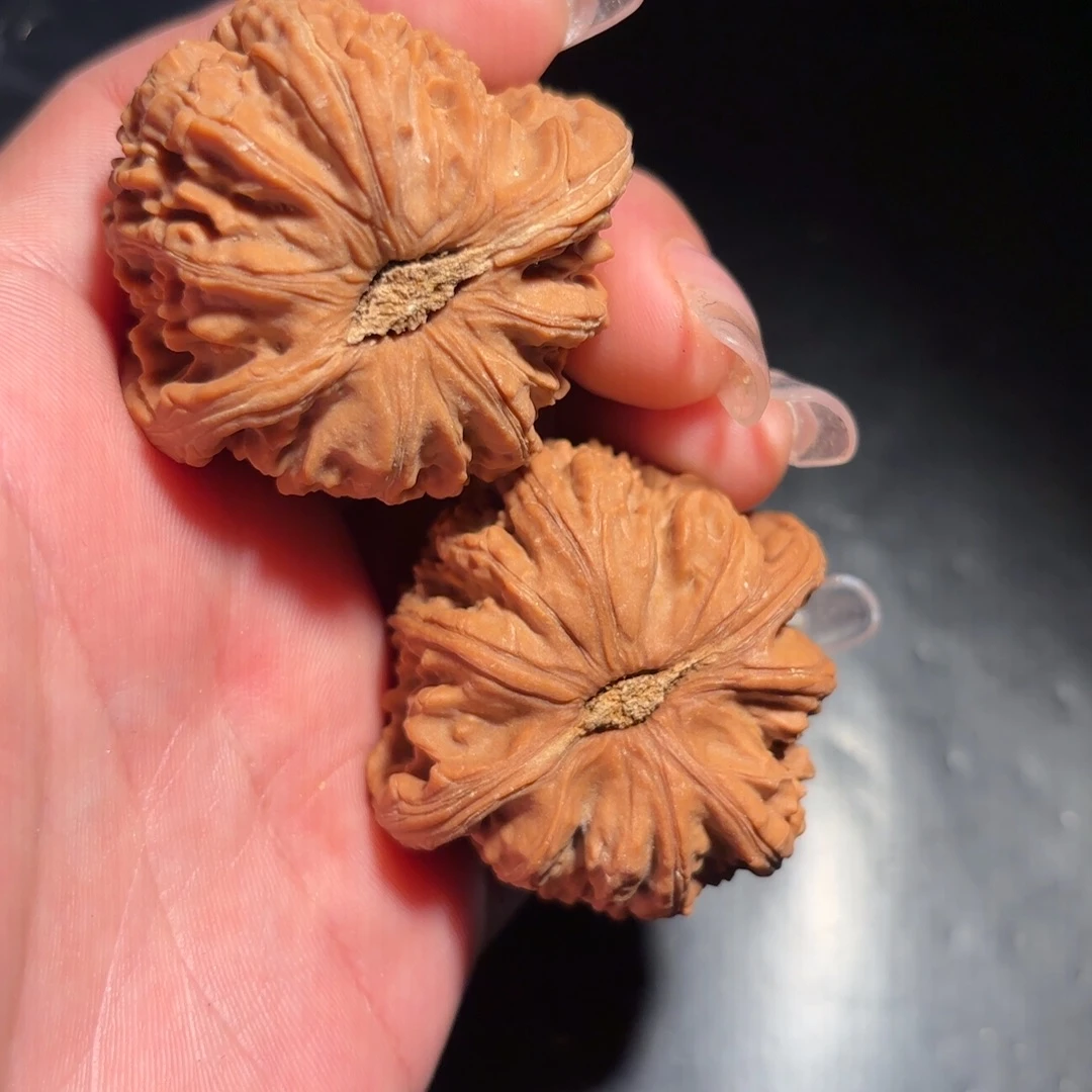 核桃45大球白大粗棱子