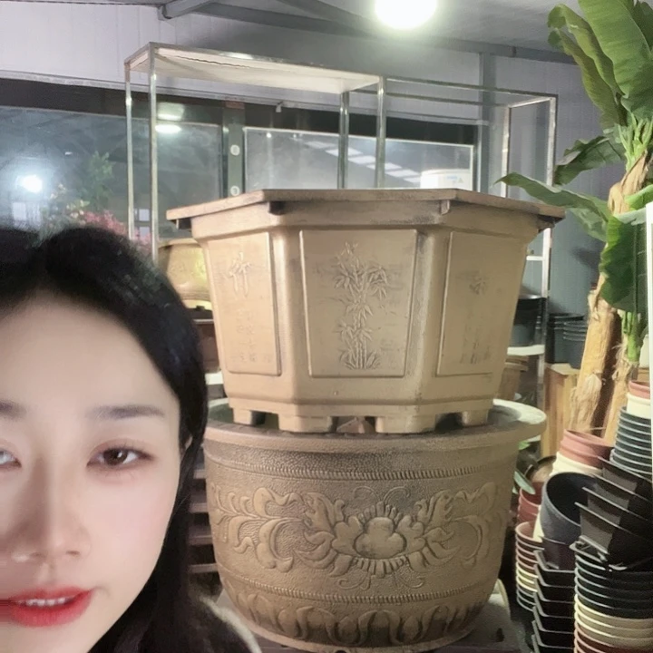补差价补差价盆景50盆换盆景60