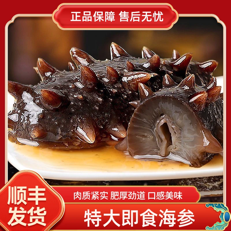 澜棠国产鲜食海参精选鲜活参营养刺参（8-12头）500g/盒*2