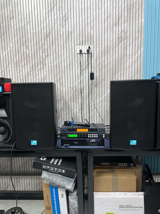 不包邮德国 大AD X12寸一套带点歌机带三脚架