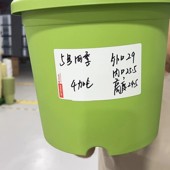 特价5号四季口29高24混色5个无托