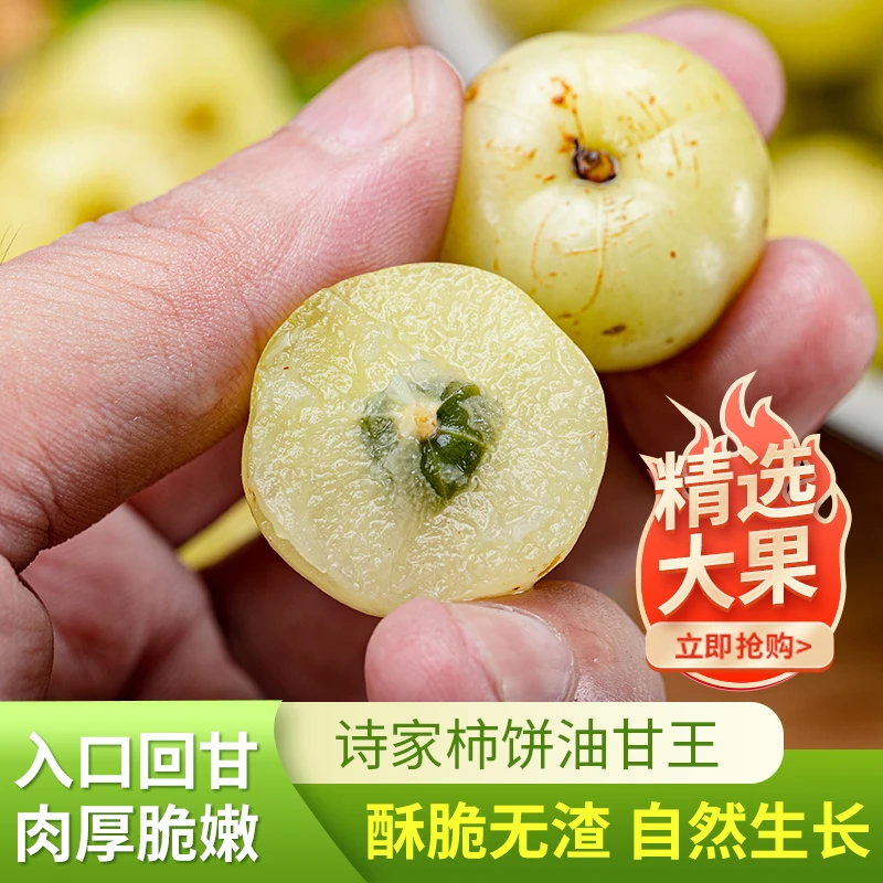 潮汕兄弟 柿饼油柑 入口回甘 生吃榨汁煲汤 一斤装