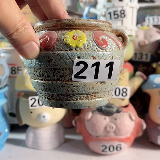 红陶多肉植物花盆