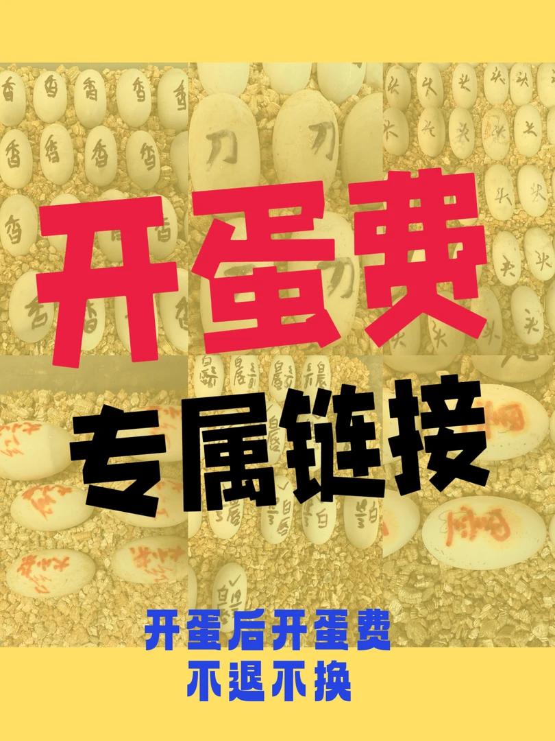 【开蛋费专属链接】乌龟蛋挑蛋，开蛋后开蛋费不退不换，请谨慎拍。