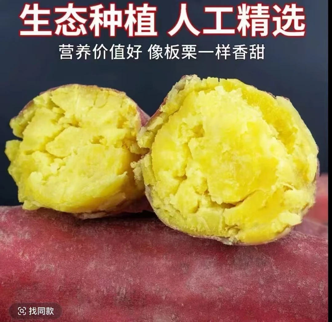 陕西正宗板栗红薯新鲜现挖粉糯香甜带板栗味批发