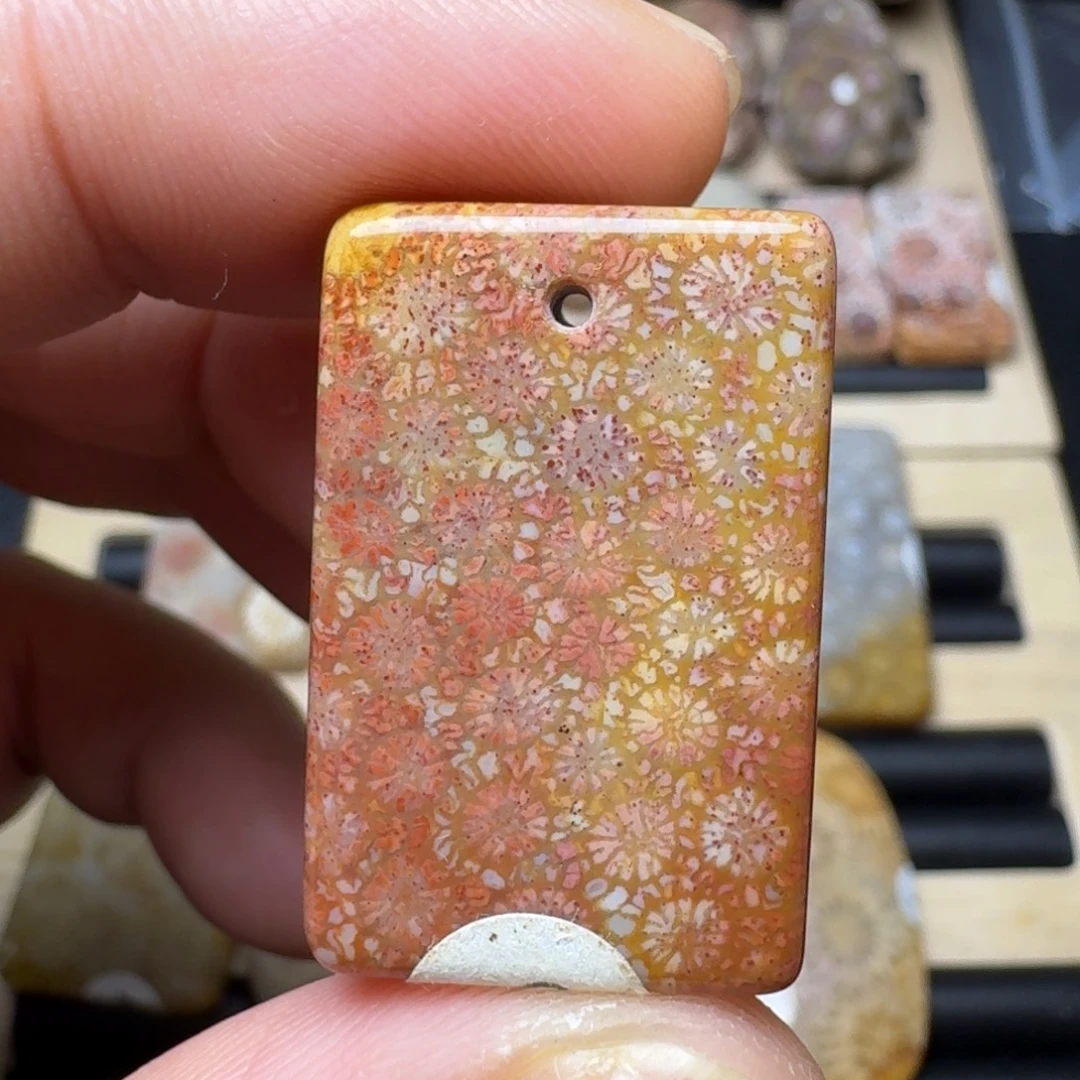 硅化珊瑚（珊瑚玉）未镶嵌纯天然色有机玉石保真色