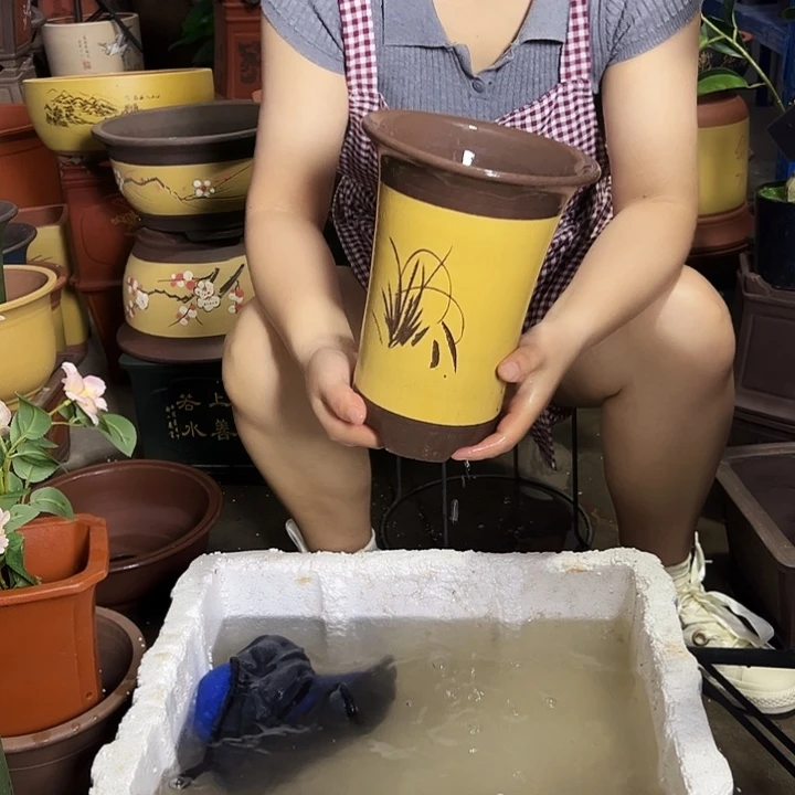花盆花盆花盆花盆花盆289