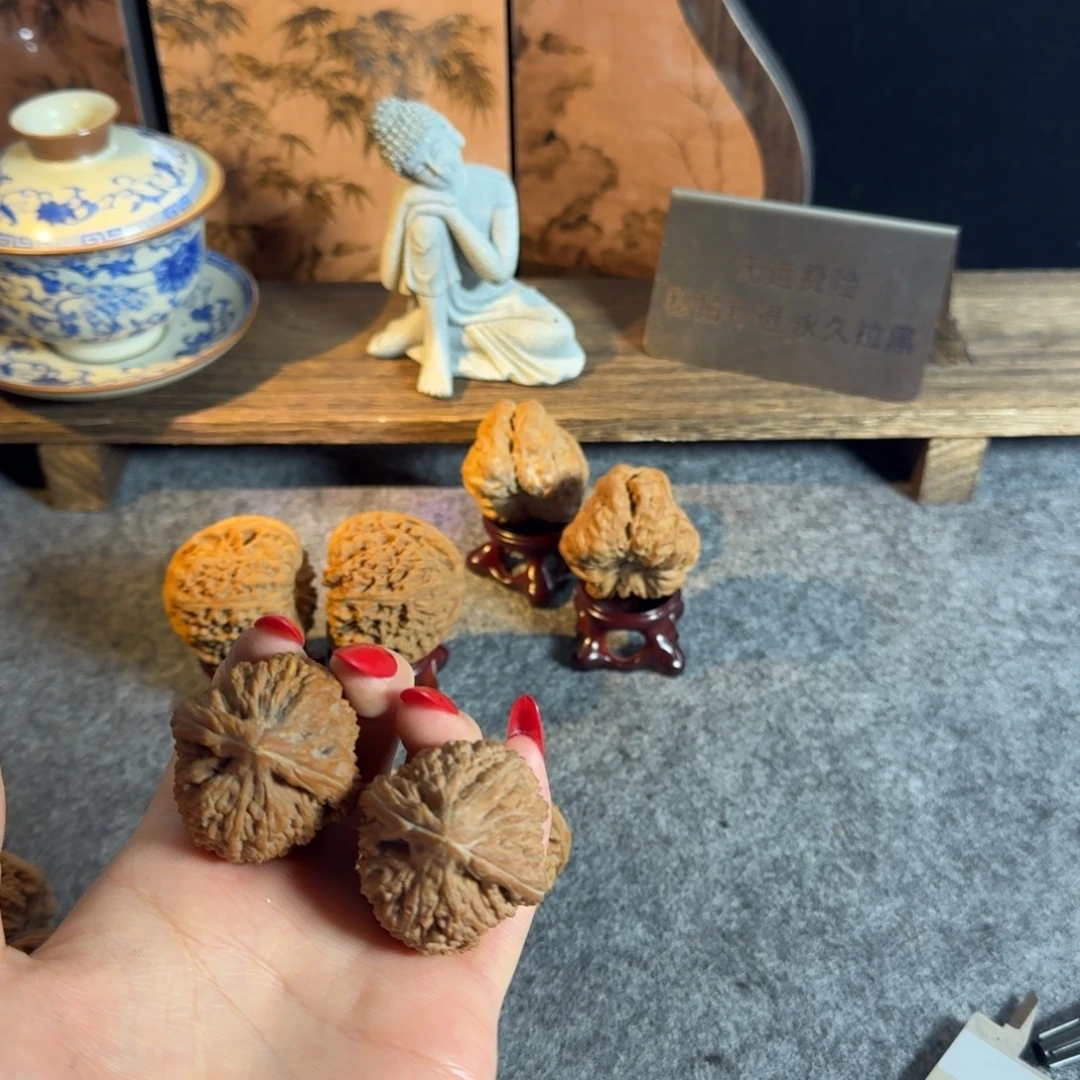 神***动全品37大蒜头白茬克重48